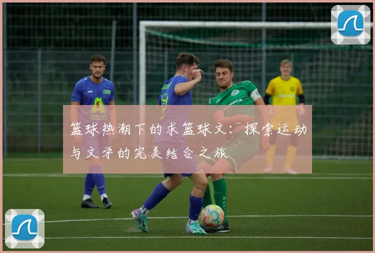 篮球热潮下的求篮球文：探索运动与文学的完美结合之旅