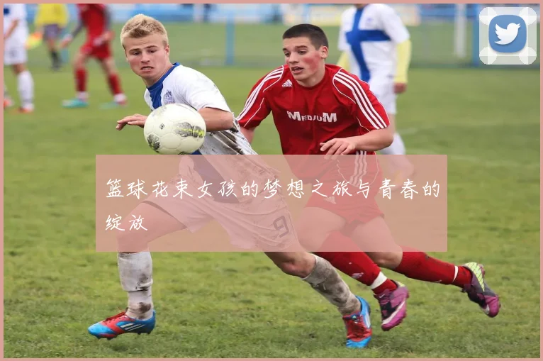 篮球花束女孩的梦想之旅与青春的绽放