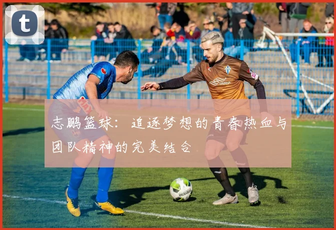 志鹏篮球：追逐梦想的青春热血与团队精神的完美结合