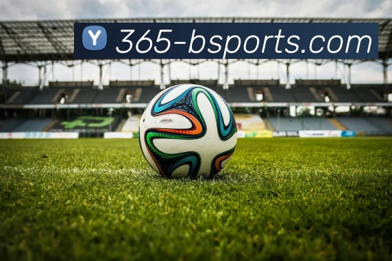 B体育官网发展历程